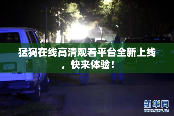 猛犸在线高清观看平台全新上线，快来体验！