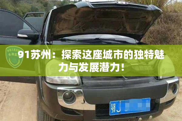 91苏州：探索这座城市的独特魅力与发展潜力！