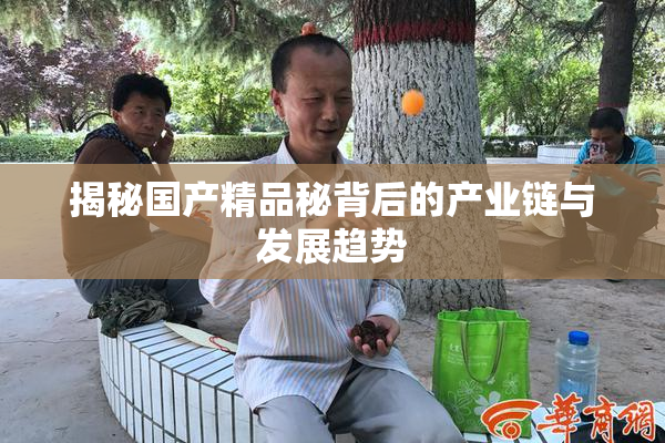 揭秘国产精品秘背后的产业链与发展趋势