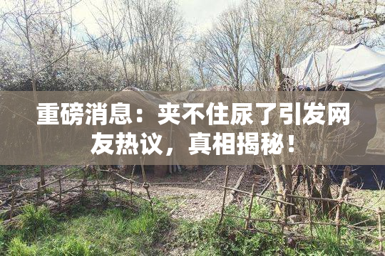 重磅消息：夹不住尿了引发网友热议，真相揭秘！