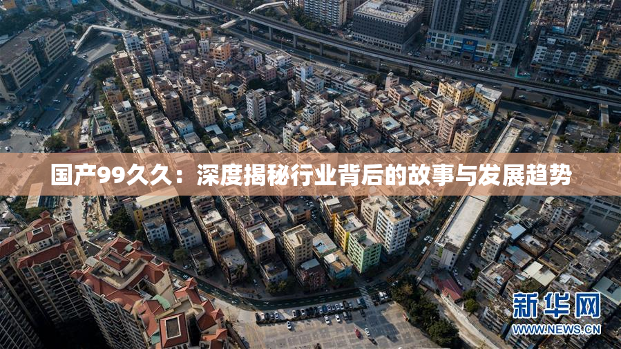国产99久久：深度揭秘行业背后的故事与发展趋势