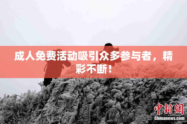成人免费活动吸引众多参与者，精彩不断！
