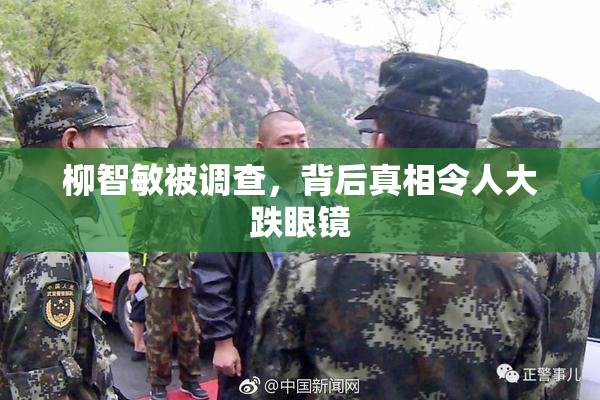 柳智敏被调查，背后真相令人大跌眼镜