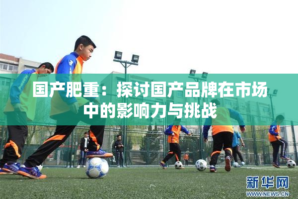 国产肥重：探讨国产品牌在市场中的影响力与挑战