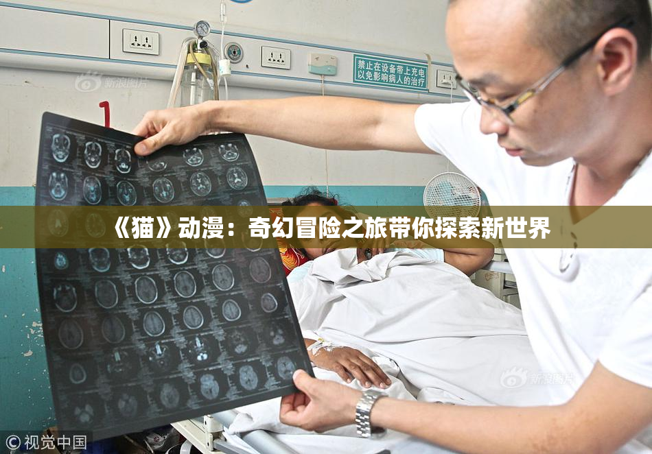 《猫》动漫：奇幻冒险之旅带你探索新世界