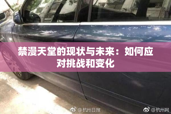 禁漫天堂的现状与未来：如何应对挑战和变化