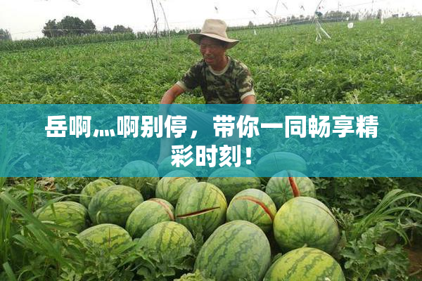 岳啊灬啊别停，带你一同畅享精彩时刻！