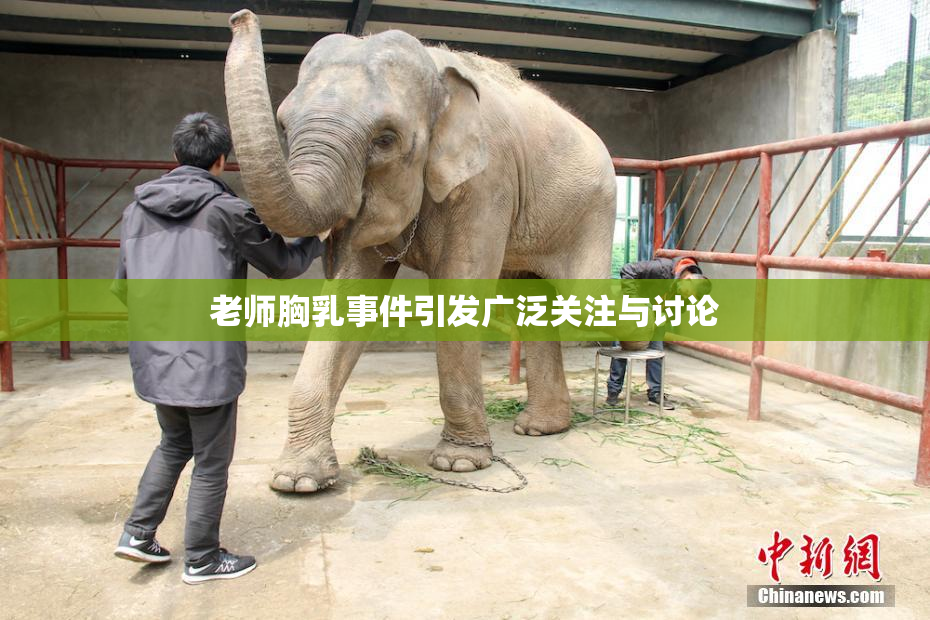 老师胸乳事件引发广泛关注与讨论