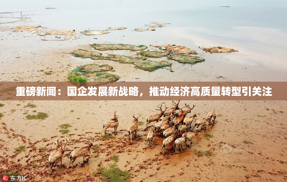 重磅新闻：国企发展新战略，推动经济高质量转型引关注