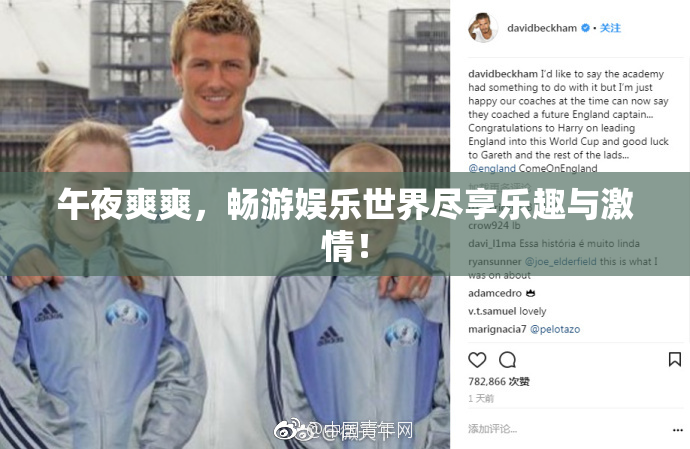 午夜爽爽，畅游娱乐世界尽享乐趣与激情！
