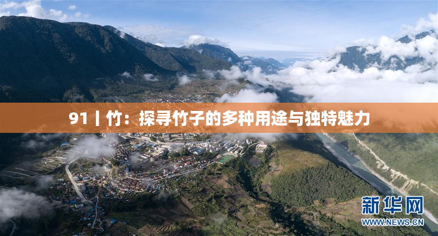 91丨竹：探寻竹子的多种用途与独特魅力