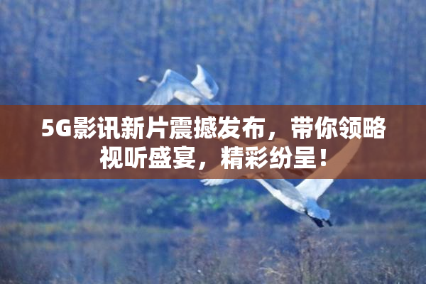 5G影讯新片震撼发布，带你领略视听盛宴，精彩纷呈！