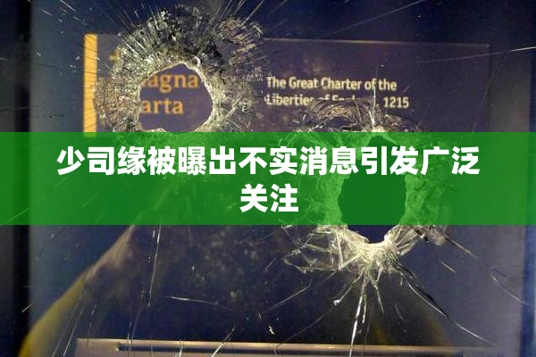 少司缘被曝出不实消息引发广泛关注