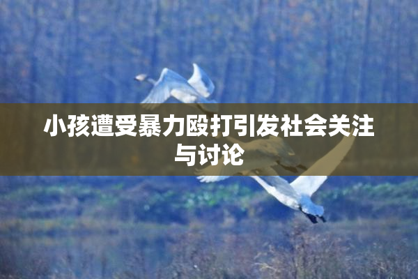 小孩遭受暴力殴打引发社会关注与讨论