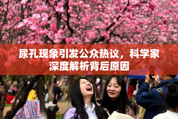 尿孔现象引发公众热议，科学家深度解析背后原因