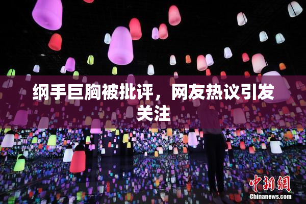 纲手巨胸被批评，网友热议引发关注