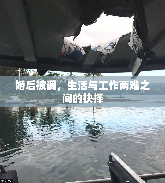 婚后被调，生活与工作两难之间的抉择