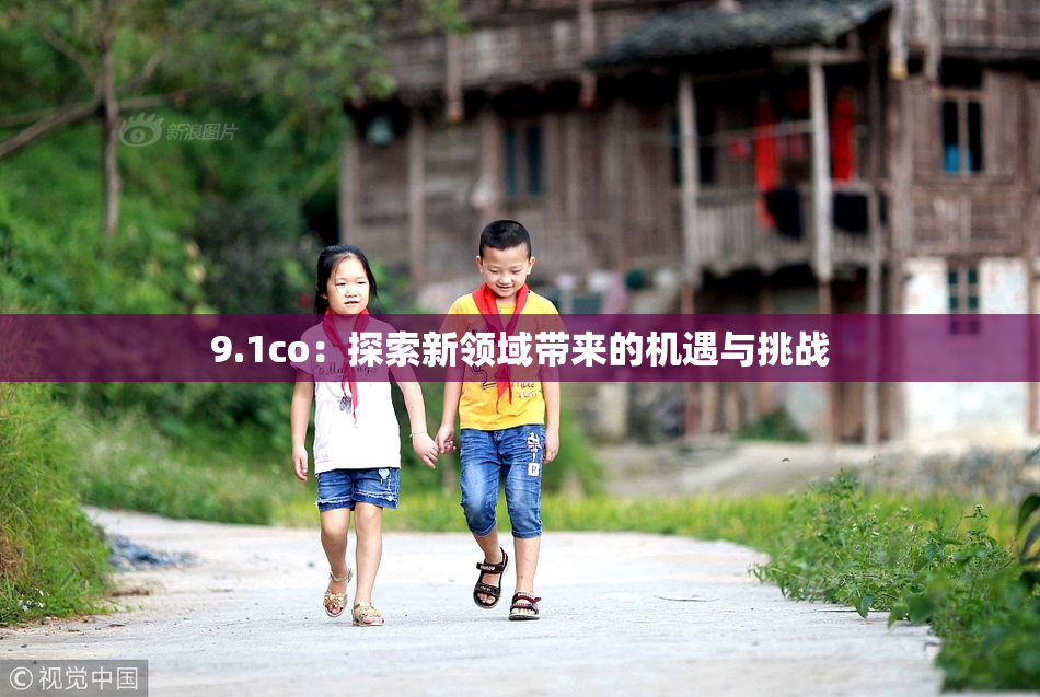 9.1co：探索新领域带来的机遇与挑战