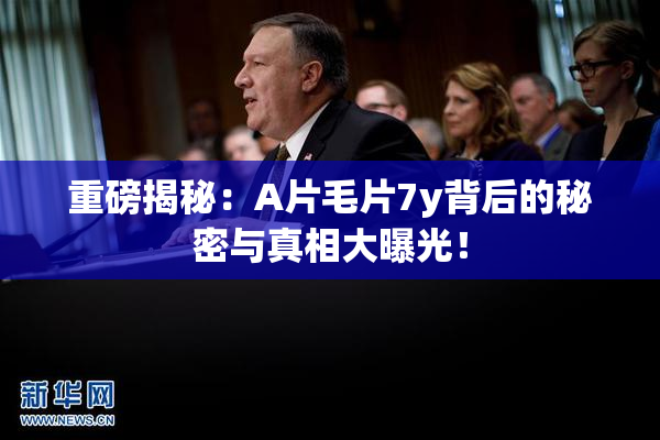 重磅揭秘：A片毛片7y背后的秘密与真相大曝光！