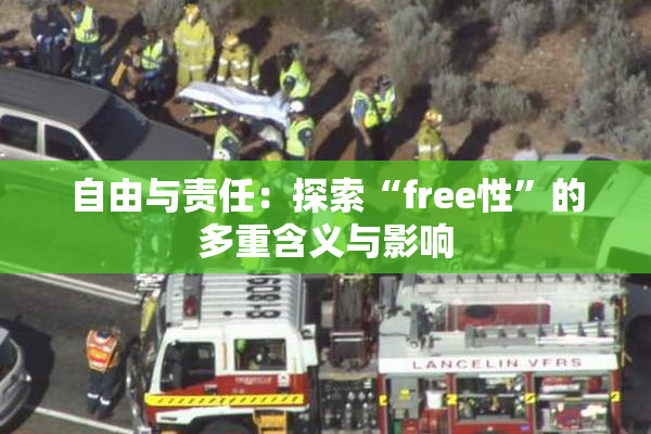 自由与责任：探索“free性”的多重含义与影响