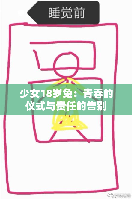 少女18岁免：青春的仪式与责任的告别