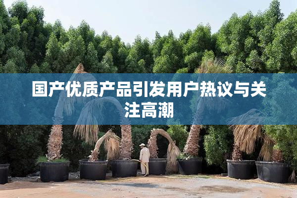 国产优质产品引发用户热议与关注高潮