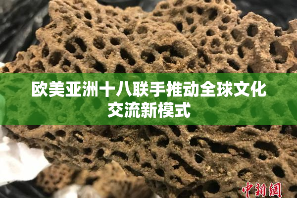 欧美亚洲十八联手推动全球文化交流新模式