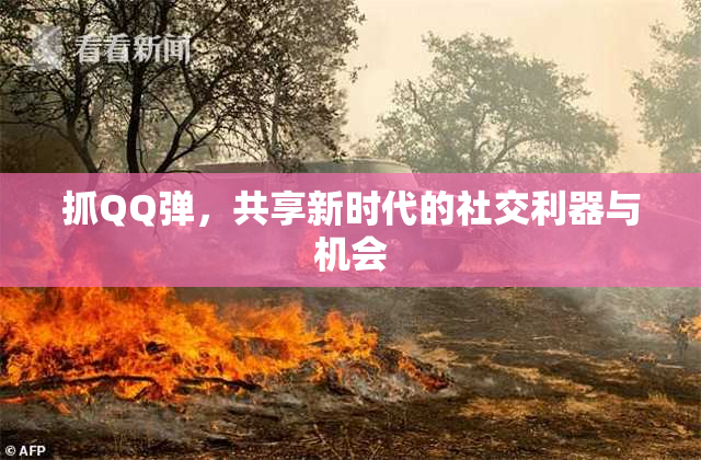 抓QQ弹，共享新时代的社交利器与机会