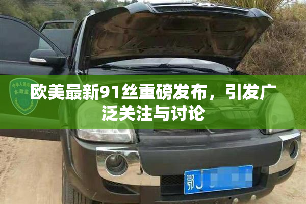 欧美最新91丝重磅发布，引发广泛关注与讨论