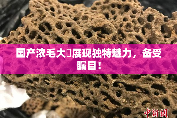 国产浓毛大泬展现独特魅力，备受瞩目！