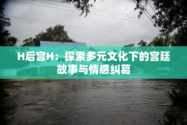 H后宫H：探索多元文化下的宫廷故事与情感纠葛