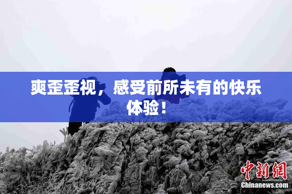 爽歪歪视，感受前所未有的快乐体验！