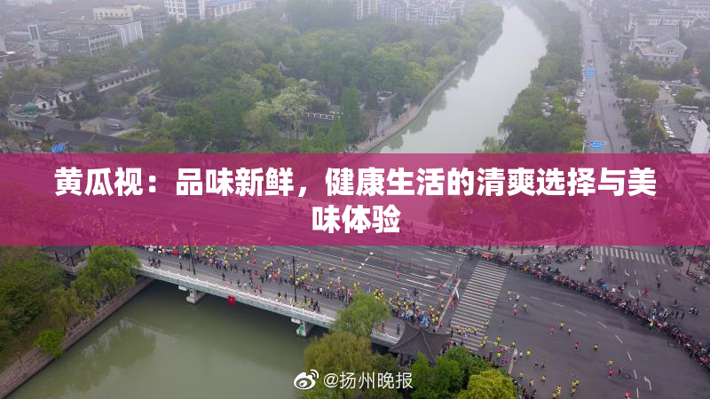 黄瓜视：品味新鲜，健康生活的清爽选择与美味体验