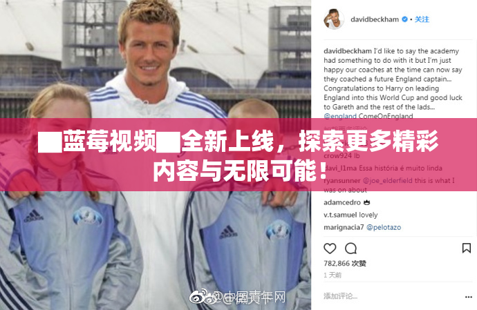 ▇蓝莓视频▇全新上线，探索更多精彩内容与无限可能！
