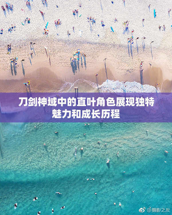 刀剑神域中的直叶角色展现独特魅力和成长历程