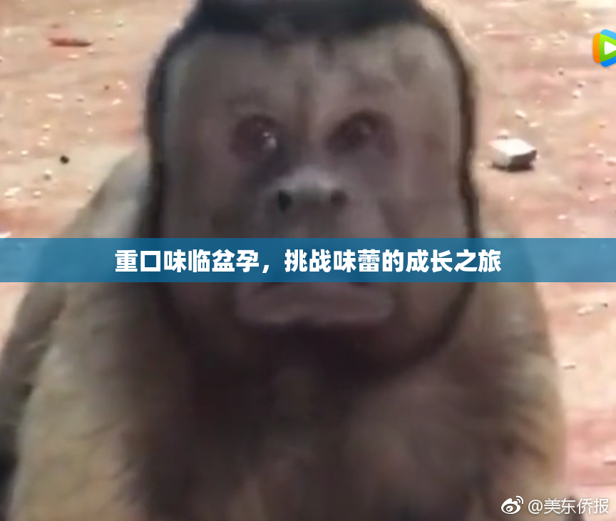 重口味临盆孕，挑战味蕾的成长之旅