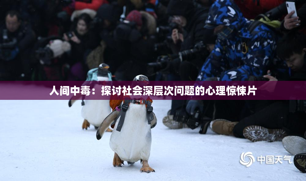 人间中毒：探讨社会深层次问题的心理惊悚片