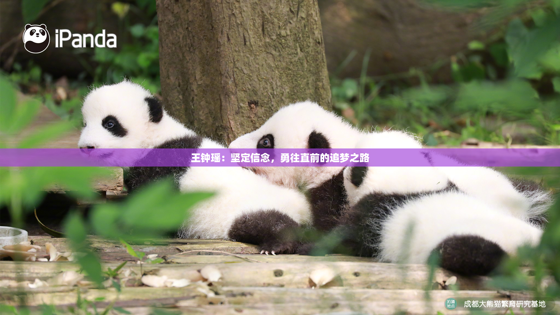 王钟瑶：坚定信念，勇往直前的追梦之路