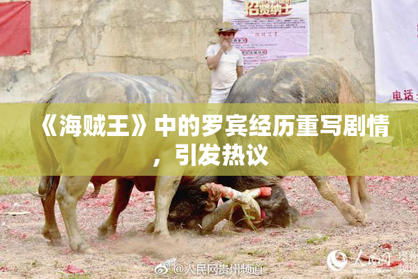 《海贼王》中的罗宾经历重写剧情，引发热议