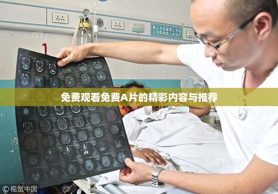 免费观看免费A片的精彩内容与推荐