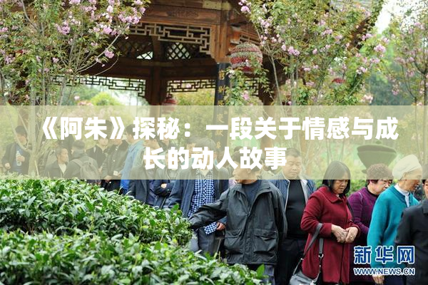 《阿朱》探秘：一段关于情感与成长的动人故事