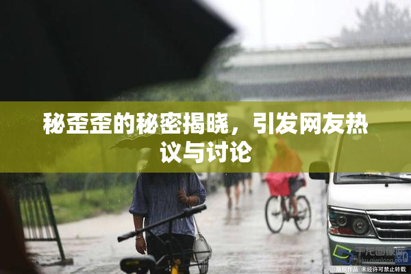 秘歪歪的秘密揭晓，引发网友热议与讨论