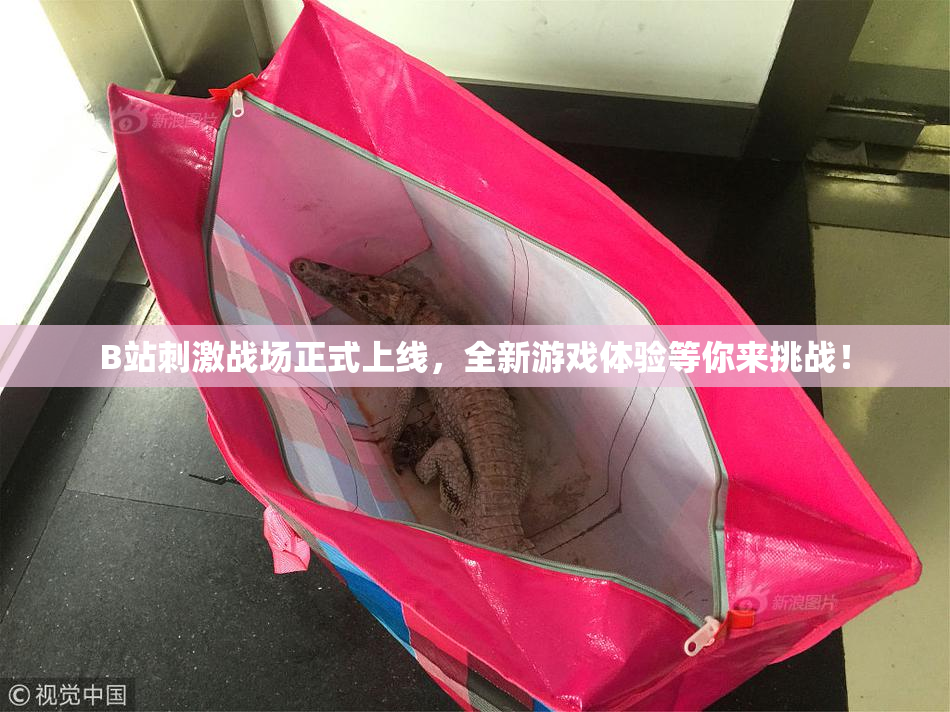 B站刺激战场正式上线，全新游戏体验等你来挑战！