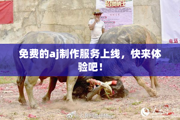 免费的aj制作服务上线，快来体验吧！