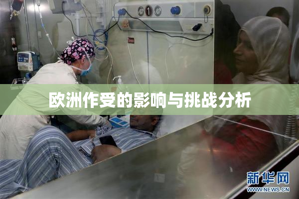欧洲作受的影响与挑战分析