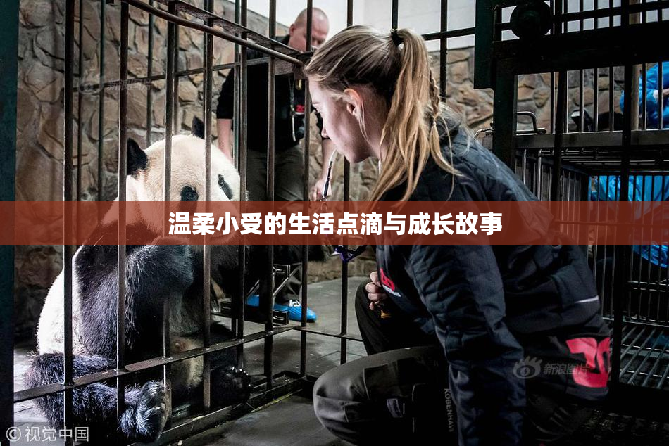 温柔小受的生活点滴与成长故事