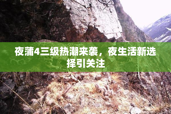夜蒲4三级热潮来袭，夜生活新选择引关注
