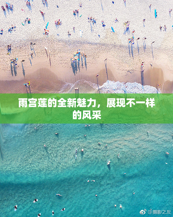 雨宫莲的全新魅力，展现不一样的风采