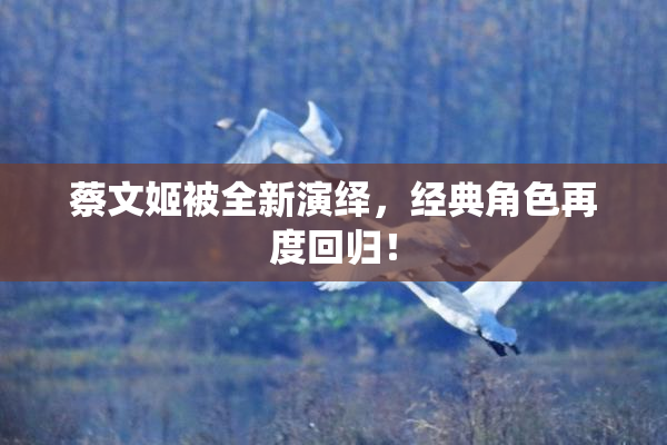 蔡文姬被全新演绎，经典角色再度回归！
