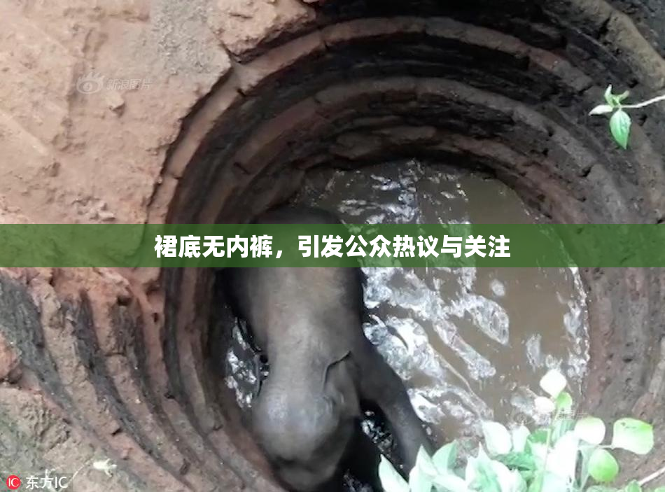 裙底无内裤，引发公众热议与关注